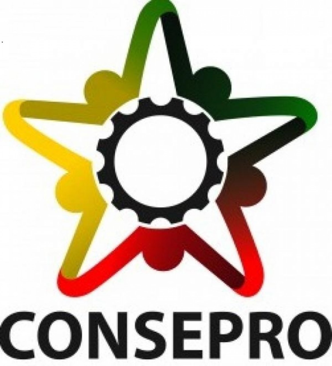 CONSEPRO - Conselho Comunitário Pro-Segurança Pública de Pareci Novo