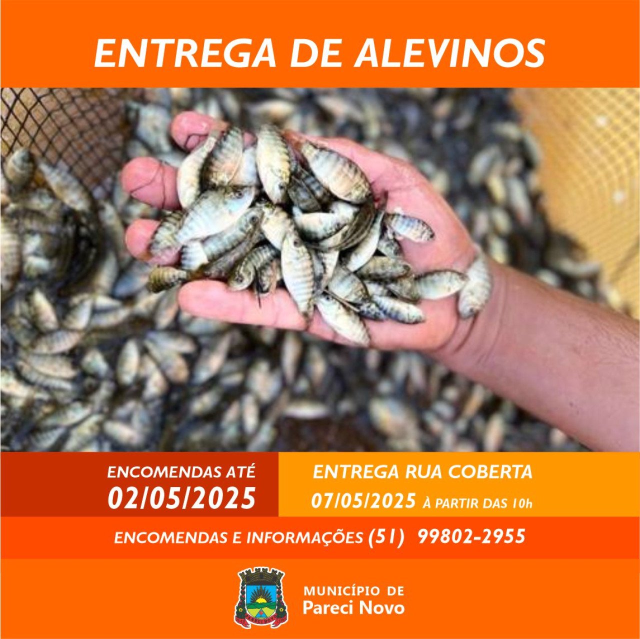 Encomenda de Alevinos
